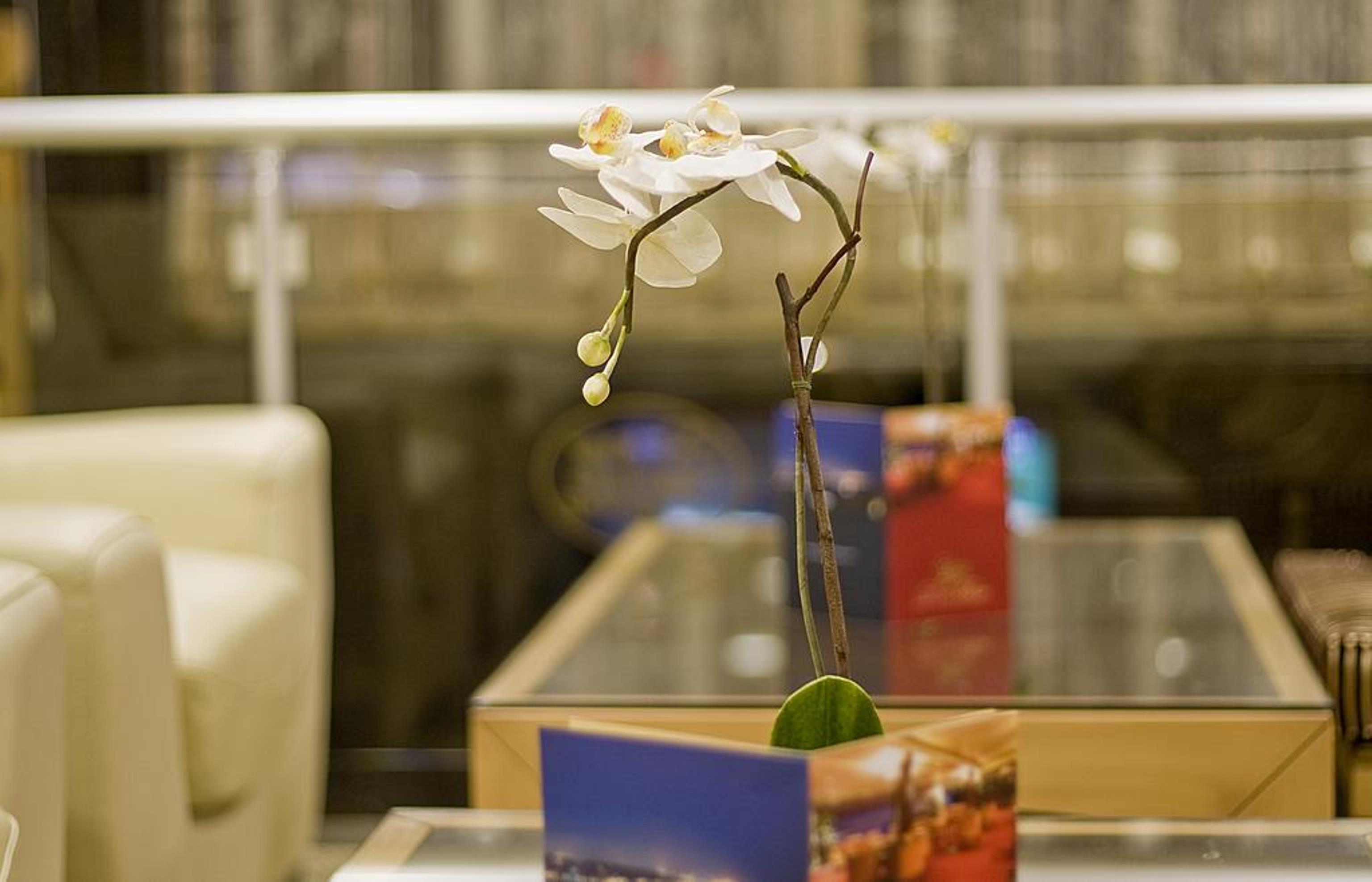 Park Star Hotel Taksim Стамбул Экстерьер фото